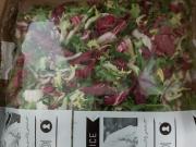 Salat Toscana bl. ready to eat 1 x 500 g.