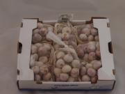 Hvidløg SOLO 250 gr.