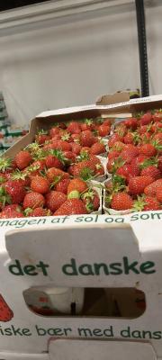 Jordbær 1 x 500 Gr. Dk